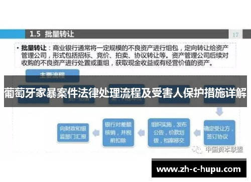 葡萄牙家暴案件法律处理流程及受害人保护措施详解