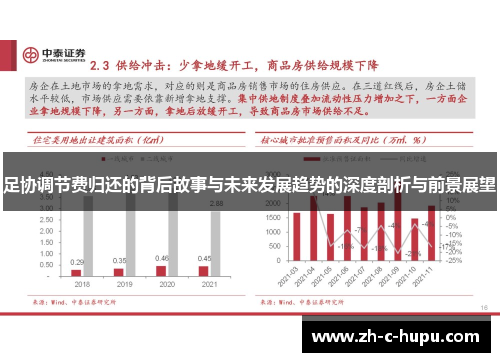 足协调节费归还的背后故事与未来发展趋势的深度剖析与前景展望