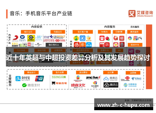 近十年英超与中超投资差异分析及其发展趋势探讨